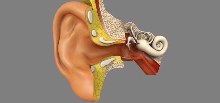 Comment protéger et prendre soin de ses oreilles